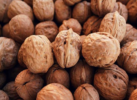 قیمت گردو دانه درشت + خرید باور نکردنی