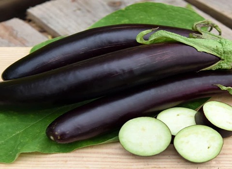 خرید و فروش بادمجان قلمی گلخانه ای با شرایط فوق العاده