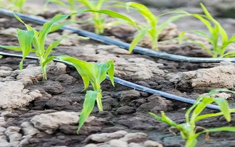 قیمت لوله مشکی آب + خرید باور نکردنی