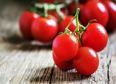خرید و فروش گوجه فرنگی قرمز با شرایط فوق العاده