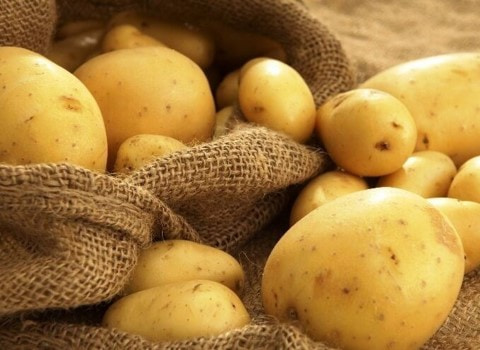 خرید و قیمت سیب زمینی محلی + فروش صادراتی