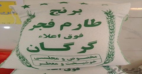 خرید و قیمت برنج طارم فجر گرگان + فروش عمده