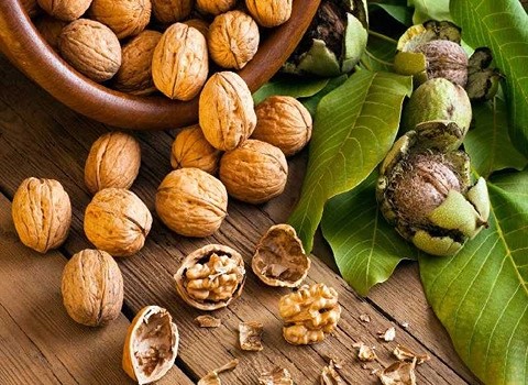 خرید و قیمت گردوی دندانه نخودی درجه یک + فروش عمده