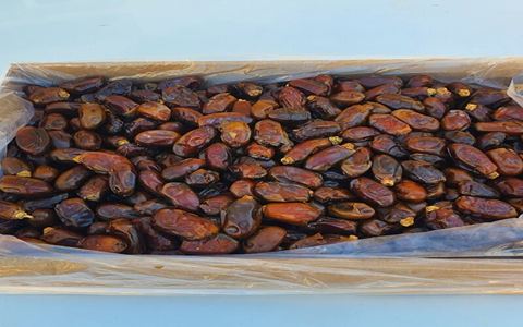 خرید و قیمت خرما استعمران درجه یک + فروش صادراتی