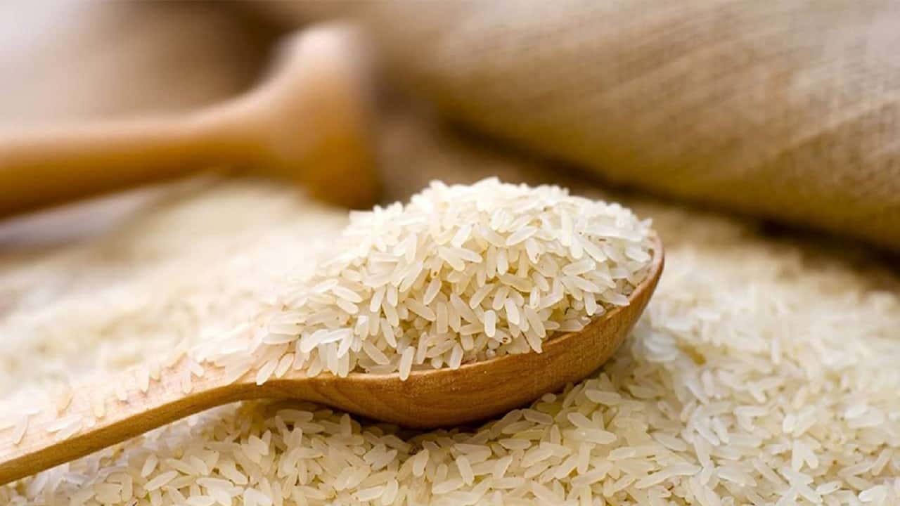 خرید و قیمت برنج طارم درجه یک شمال + فروش صادراتی