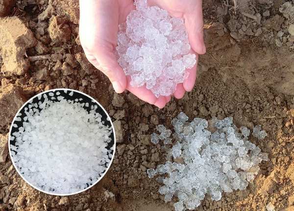 خرید پودر جاذب آب کشاورزی + قیمت فروش استثنایی
