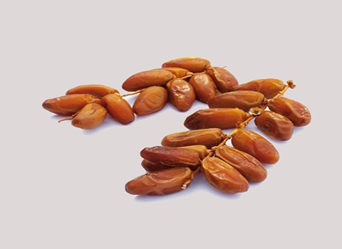 خرید خرما خارک زرد + قیمت فروش استثنایی