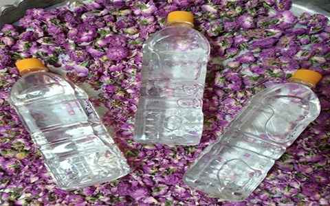 قیمت خرید گلاب ممتاز کاشان با فروش عمده