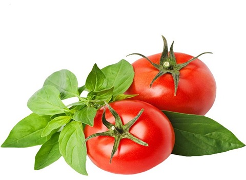 قیمت خرید گوجه فرنگی درجه یک با فروش عمده