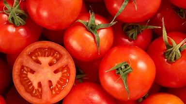 فروش گوجه فرنگی حشمتی + قیمت خرید به صرفه