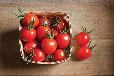 قیمت خرید گوجه فرنگی لینا + فروش ویژه