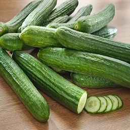 قیمت خرید خیار محلی گیلان + فروش ویژه