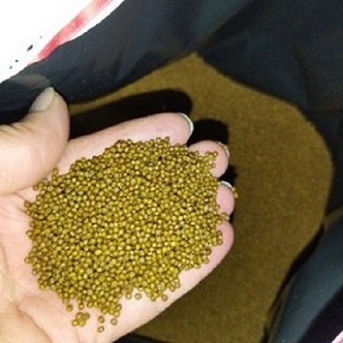 قیمت خرید خوراک ماهی زینتی + فروش ویژه