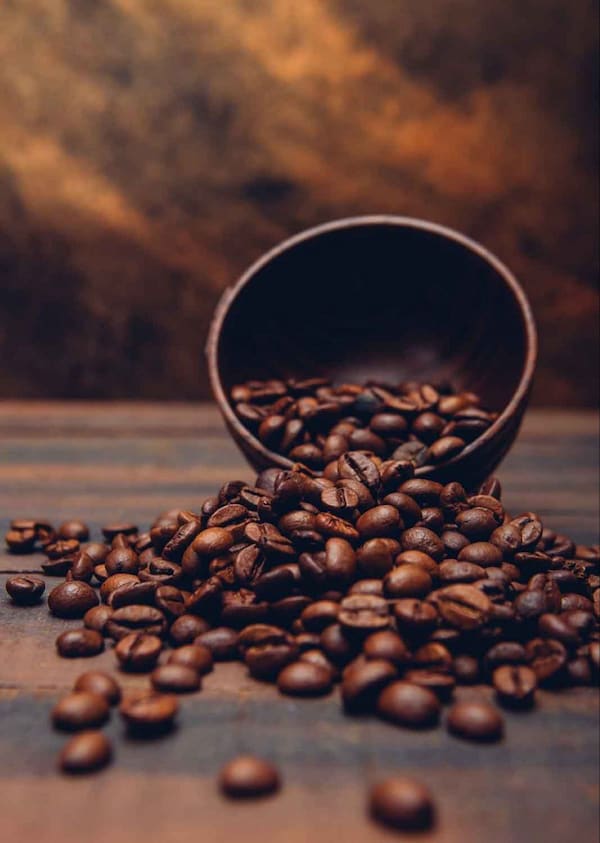 قیمت قهوه ترک درجه یک با کیفیت ارزان + خرید عمده