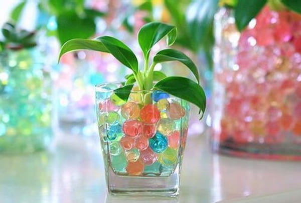 راهنمای خرید خاک ژله ای کشاورزی + قیمت عالی