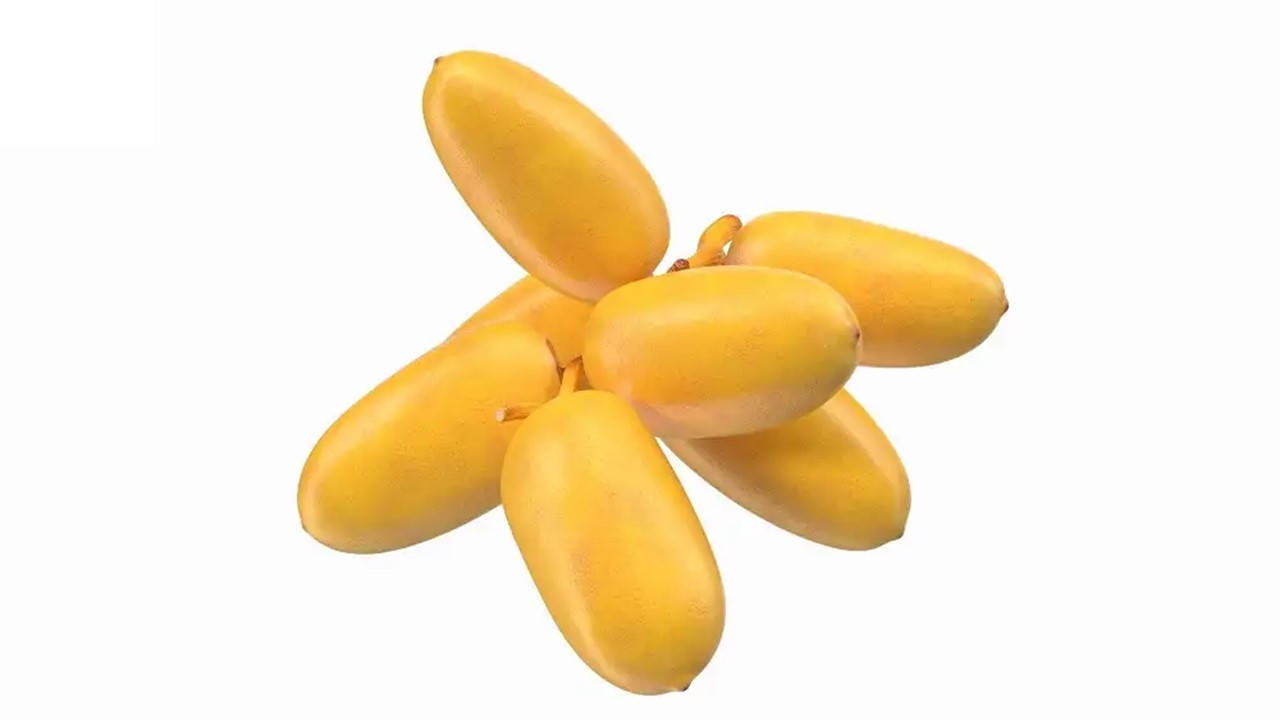 خرید خرما خارک اصلاح نژاد شده + قیمت فروش استثنائی