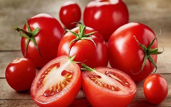 قیمت خرید گوجه فرنگی رسمی + فروش ویژه