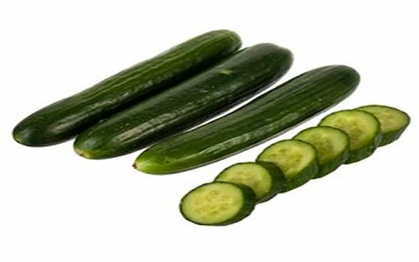 قیمت خرید خیار سالادی بزرگ + فروش ویژه